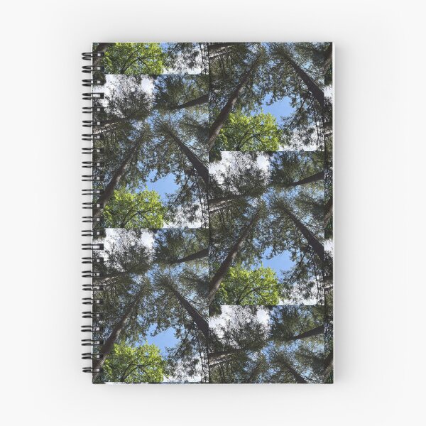 Item preview, looking up into the trees of the hermitage (dunkeld, scotland) (may 2026) designed and sold by photosbykel.