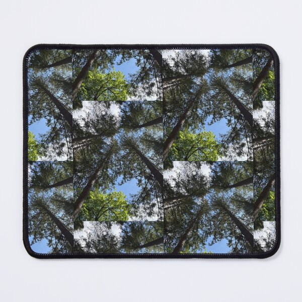 Item preview, looking up into the trees of the hermitage (dunkeld, scotland) (may 2026) designed and sold by photosbykel.