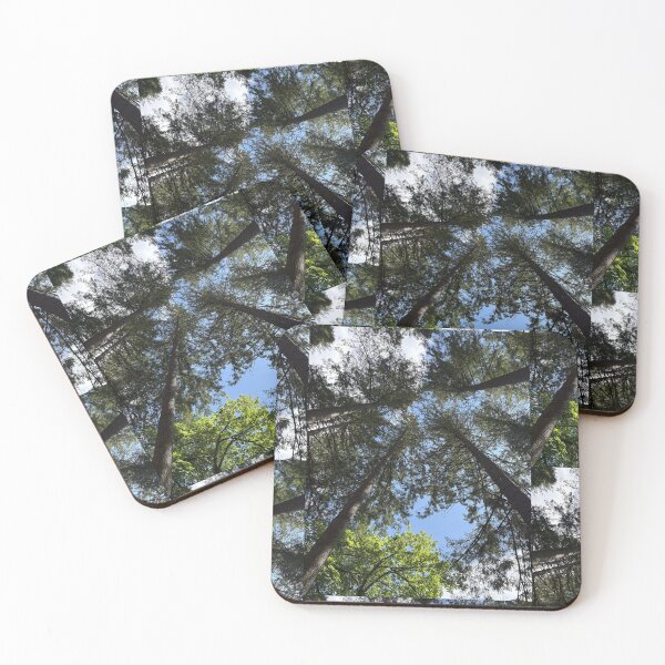 Item preview, looking up into the trees of the hermitage (dunkeld, scotland) (may 2026) designed and sold by photosbykel.