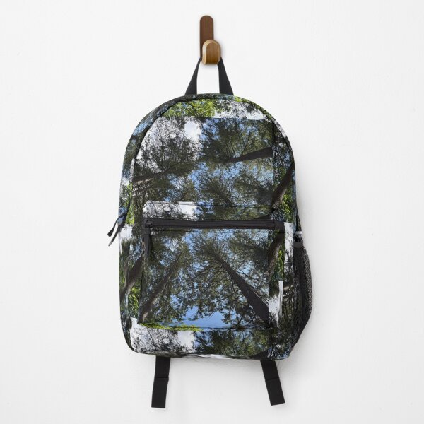 Item preview, looking up into the trees of the hermitage (dunkeld, scotland) (may 2026) designed and sold by photosbykel.