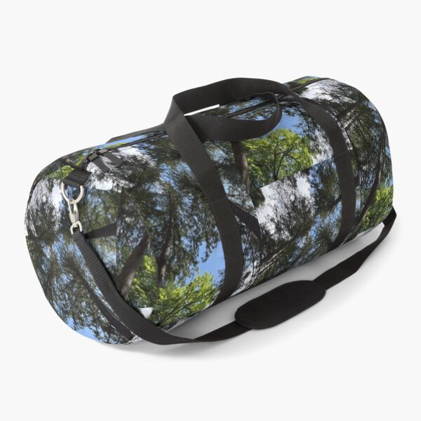 Item preview, looking up into the trees of the hermitage (dunkeld, scotland) (may 2026) designed and sold by photosbykel.