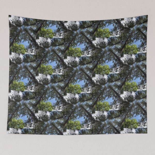 Item preview, looking up into the trees of the hermitage (dunkeld, scotland) (may 2026) designed and sold by photosbykel.
