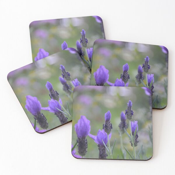 Item preview, Purple Spanish Lavender Blooms in Garden designed and sold by MiraNadaPrints.