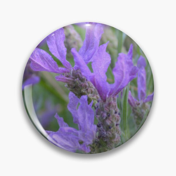 Item preview, Close Up of Vivid Purple Lavender designed and sold by MiraNadaPrints.