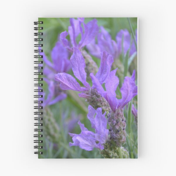 Item preview, Close Up of Vivid Purple Lavender designed and sold by MiraNadaPrints.