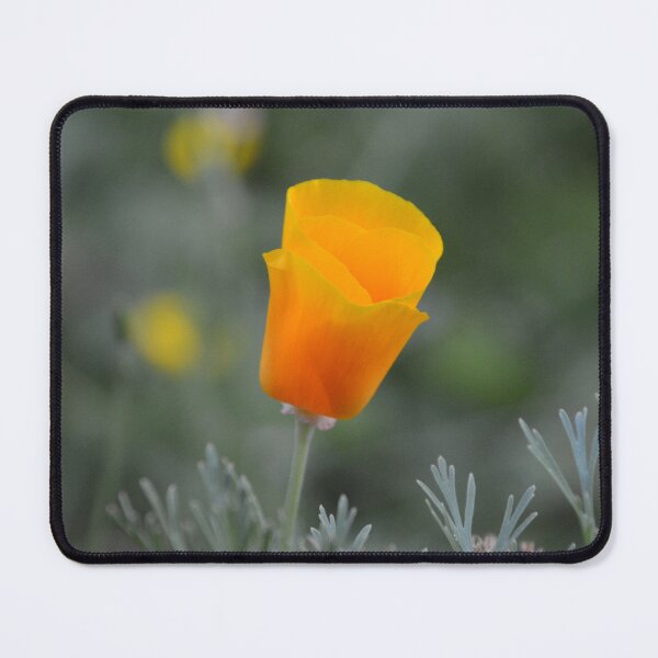 Item preview, Opening Orange California Poppy Flower Bud designed and sold by MiraNadaPrints.