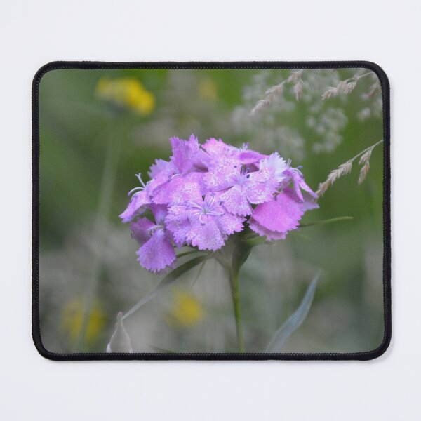 Item preview, Purple Sweet William Flower Cluster Macro designed and sold by MiraNadaPrints.