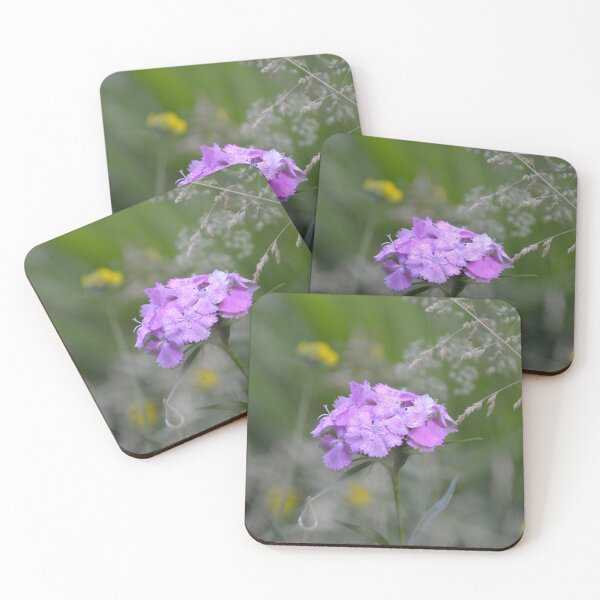 Item preview, Purple Sweet William Flower Cluster Macro designed and sold by MiraNadaPrints.