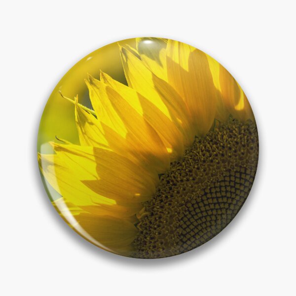 Artikelvorschau, Sonnenblumen-Sonnenuntergang entworfen und verkauft von MoePhotography.