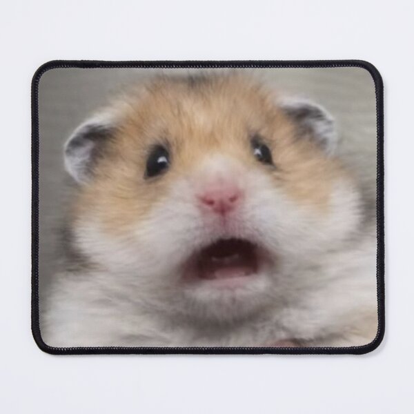 Item preview, Scared Hamster Meme designed and sold by NF Designs Studio DTF.