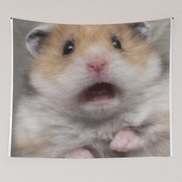 Item preview, Scared Hamster Meme designed and sold by NF Designs Studio DTF.