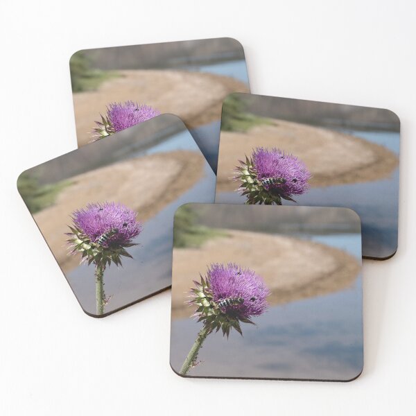 Item preview, Purple thistle detail with soft background at South Fork Reservoir designed and sold by lisavonbiela.