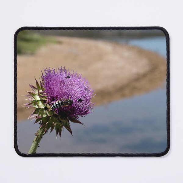 Item preview, Purple thistle detail with soft background at South Fork Reservoir designed and sold by lisavonbiela.