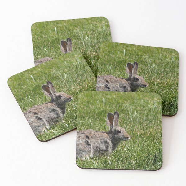 Item preview, Close-up of sunlit bunny in grass designed and sold by lisavonbiela.
