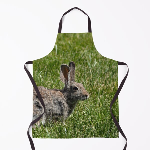 Item preview, Close-up of sunlit bunny in grass designed and sold by lisavonbiela.