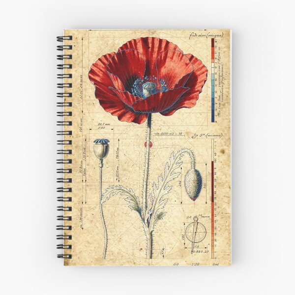 Item preview, Poppy Vitruvian Blueprint Da Vinci Style Drawing designed and sold by Jozefin's Studio.