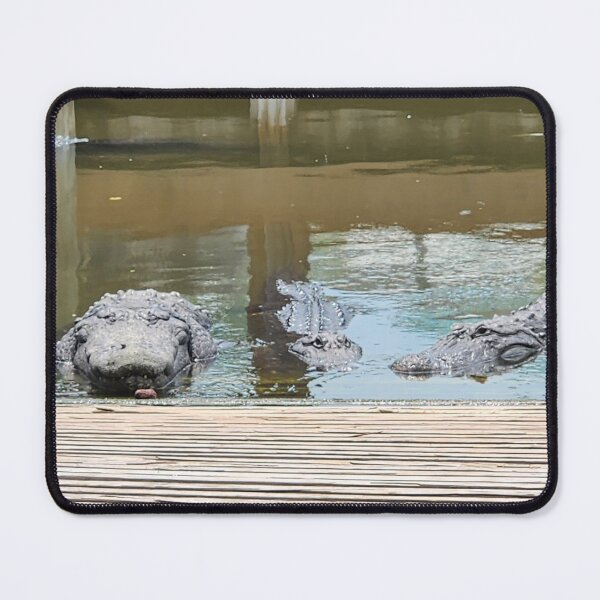 Item preview, Gators Lurking designed and sold by NetteMarieTRS.