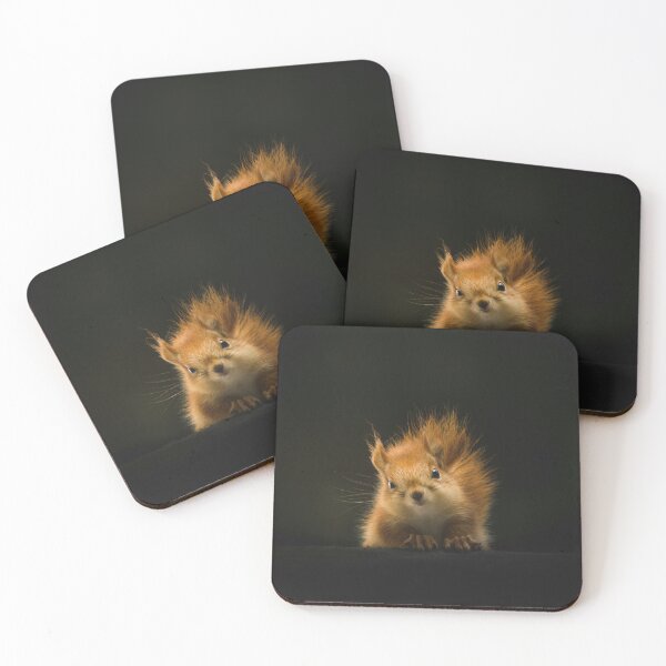 Item preview, Fluffy Red Squirrel Looking Right at You designed and sold by PygmyTitan Photo.