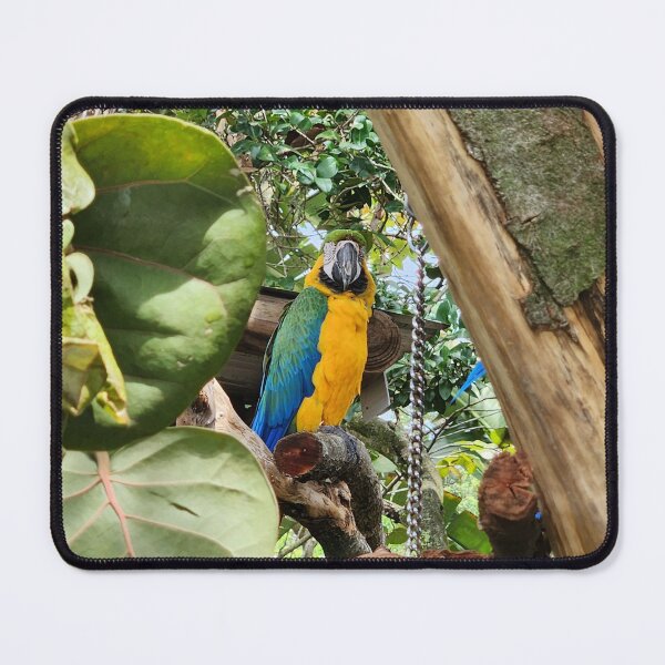 Item preview, He's Watching designed and sold by NetteMarieTRS.