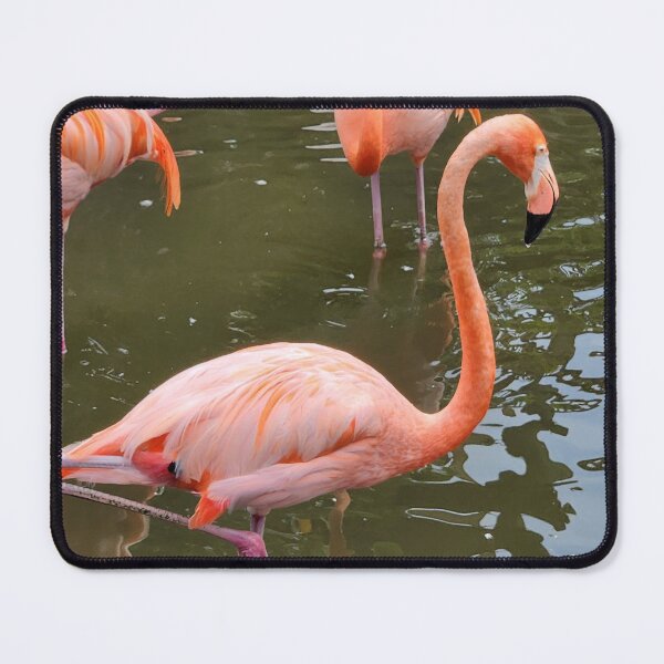 Item preview, Flamingos designed and sold by NetteMarieTRS.