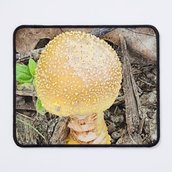 Item preview, Golden Mushroom designed and sold by NetteMarieTRS.