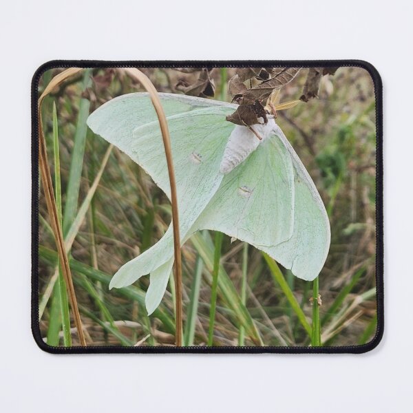 Item preview, Lunar Moth designed and sold by NetteMarieTRS.