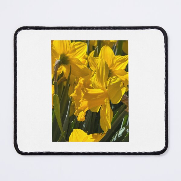 Item preview, Keukenhof yellow flowers designed and sold by CCanelaG.