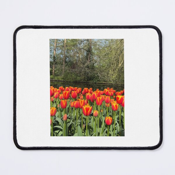 Item preview, Keukenhof yellow and red flowers designed and sold by CCanelaG.