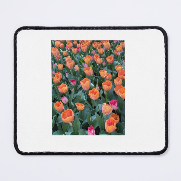 Item preview, Keukenhof orange and red flowers designed and sold by CCanelaG.