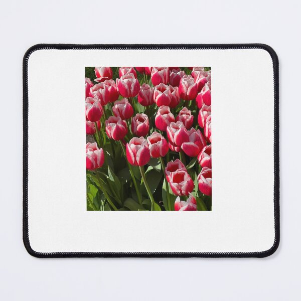 Item preview, Keukenhof white and red flowers designed and sold by CCanelaG.