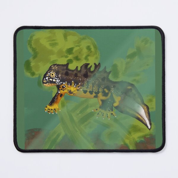 Item preview, Great crested newt designed and sold by Swirling_UniverseShop.