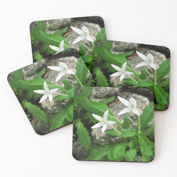 Item preview, Growing Wild designed and sold by heatherfriedman.