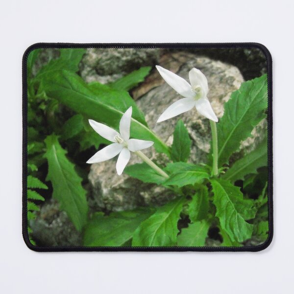 Item preview, Growing Wild designed and sold by heatherfriedman.