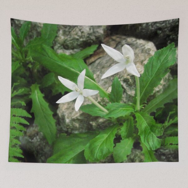 Item preview, Growing Wild designed and sold by heatherfriedman.