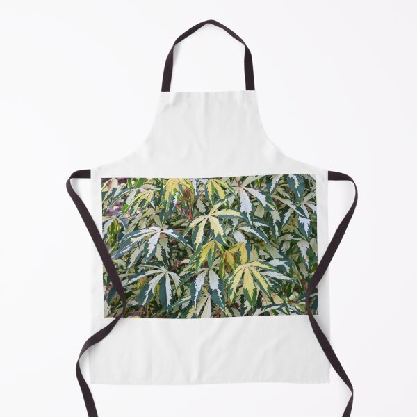Item preview, Variegated Tapioca Plant Tropical Foliage Pattern designed and sold by 27Tammy27.