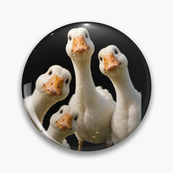 Item preview, Curious Goose Gang Meme designed and sold by SurrealSproutz.
