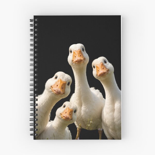 Item preview, Curious Goose Gang Meme designed and sold by SurrealSproutz.