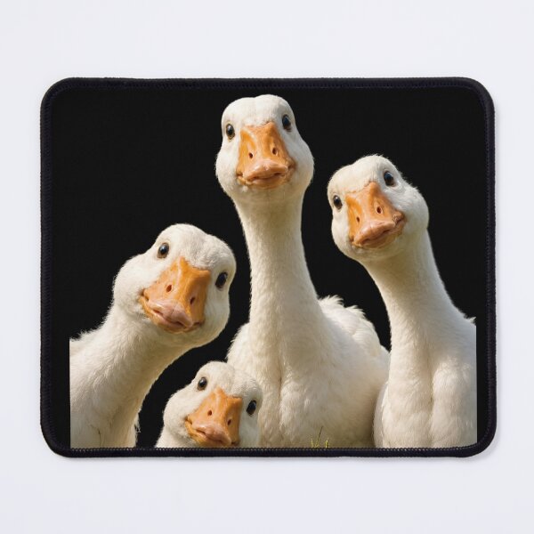 Item preview, Curious Goose Gang Meme designed and sold by SurrealSproutz.