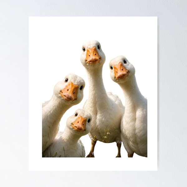 Item preview, Curious Goose Gang Meme designed and sold by SurrealSproutz.
