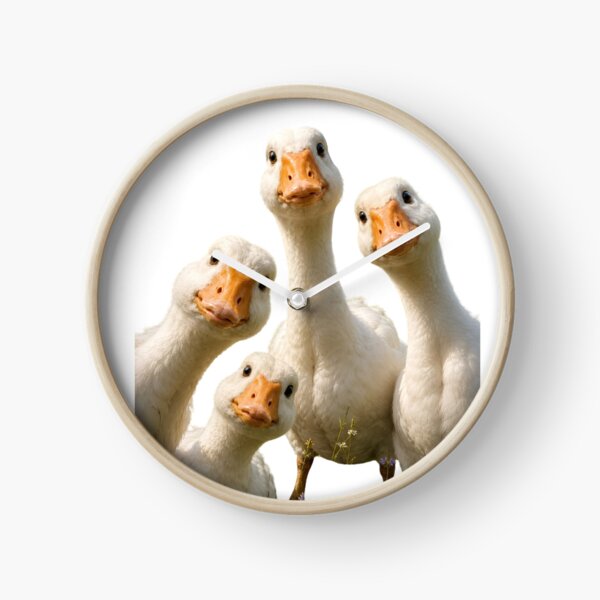 Item preview, Curious Goose Gang Meme designed and sold by SurrealSproutz.