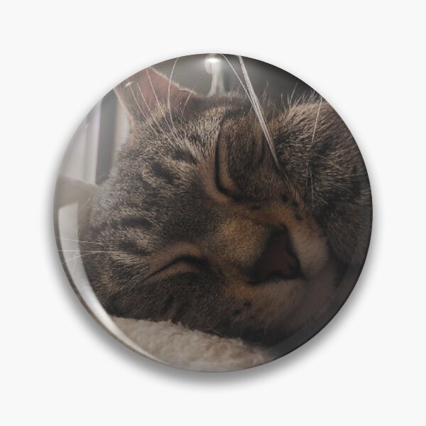 Item preview, Rest (cat photo) designed and sold by josieqbg.