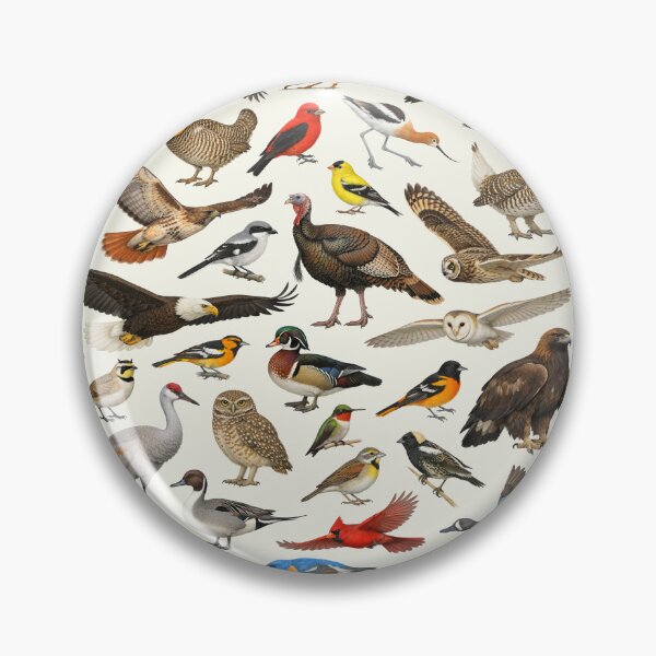 Item preview, Native Birds of Nebraska Retro Style Identification Chart designed and sold by kakarikihill.