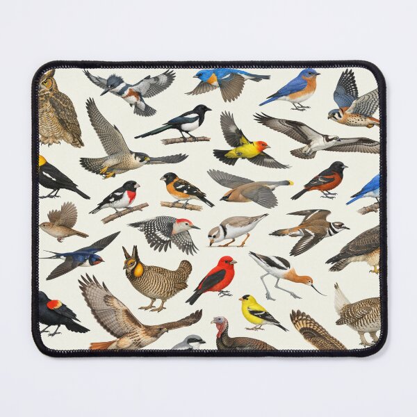 Item preview, Native Birds of Nebraska Retro Style Identification Chart designed and sold by kakarikihill.