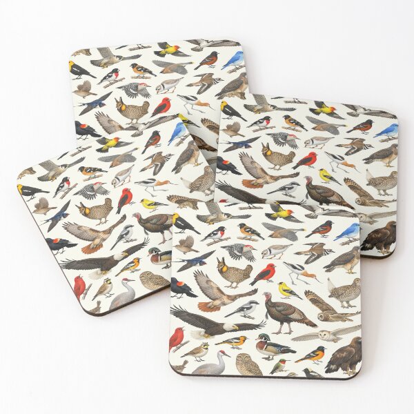 Item preview, Native Birds of Nebraska Retro Style Identification Chart designed and sold by kakarikihill.