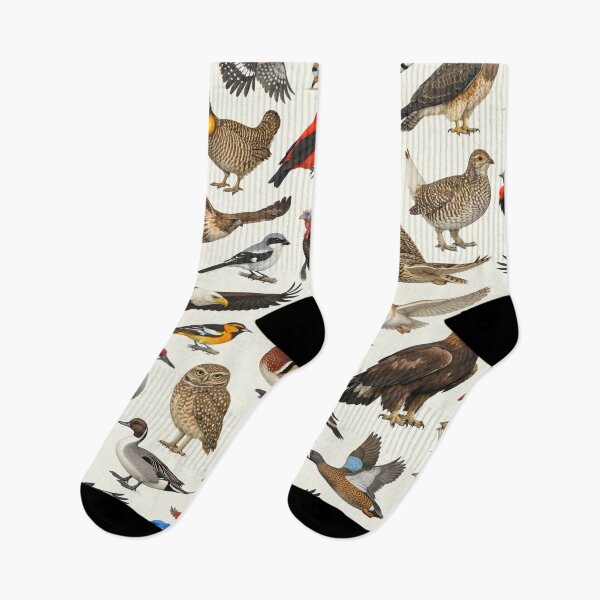 Item preview, Native Birds of Nebraska Retro Style Identification Chart designed and sold by kakarikihill.