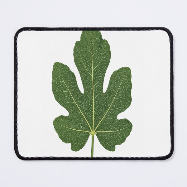 Item preview, Clean Scandinavian Minimalist Fiddle Leaf Fig Botanical Print designed and sold by Gameshalah's Designs Hub.