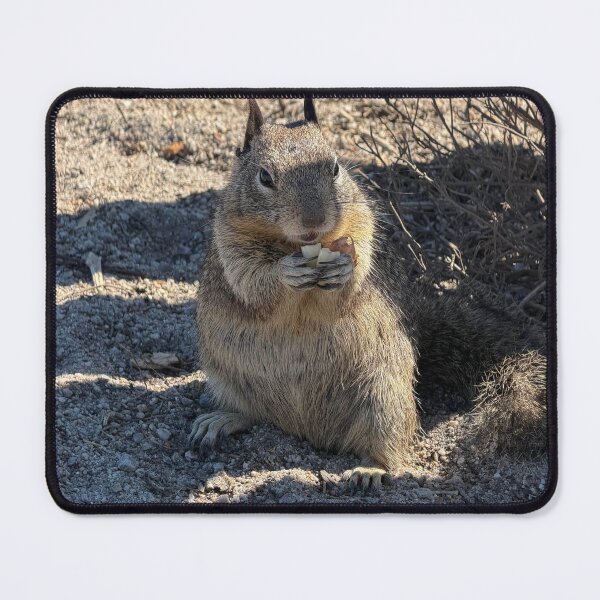 Item preview, Lover's Point Squirrels 1 designed and sold by GeneralBonkers.