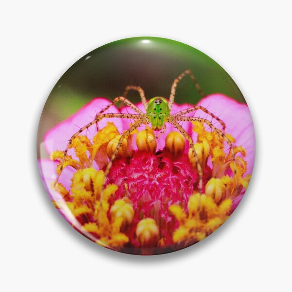 Item preview, Green Lynx Spider on Pink Zinnia Flower 1x1 designed and sold by PhotoArtbyGrace.