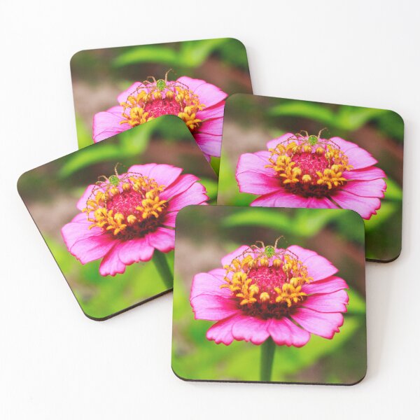 Item preview, Green Lynx Spider on Pink Zinnia Flower 1x1 designed and sold by PhotoArtbyGrace.