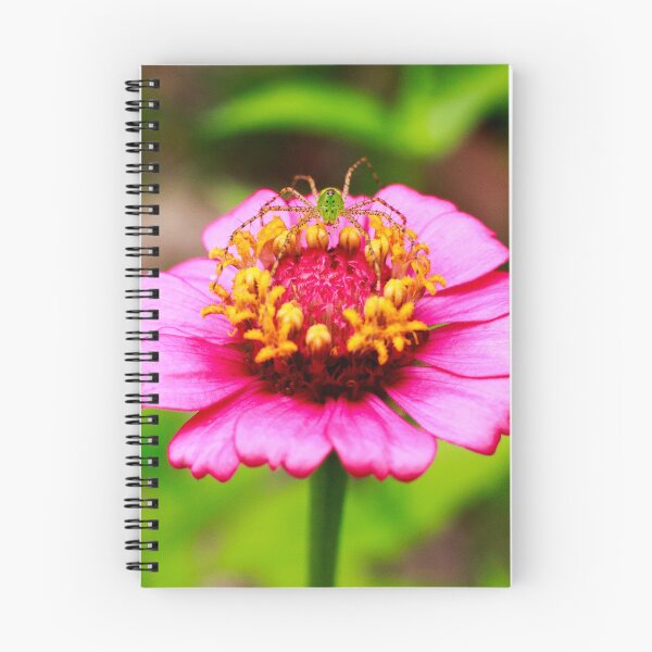Item preview, Green Lynx Spider on Pink Zinnia Flower 1x1 designed and sold by PhotoArtbyGrace.